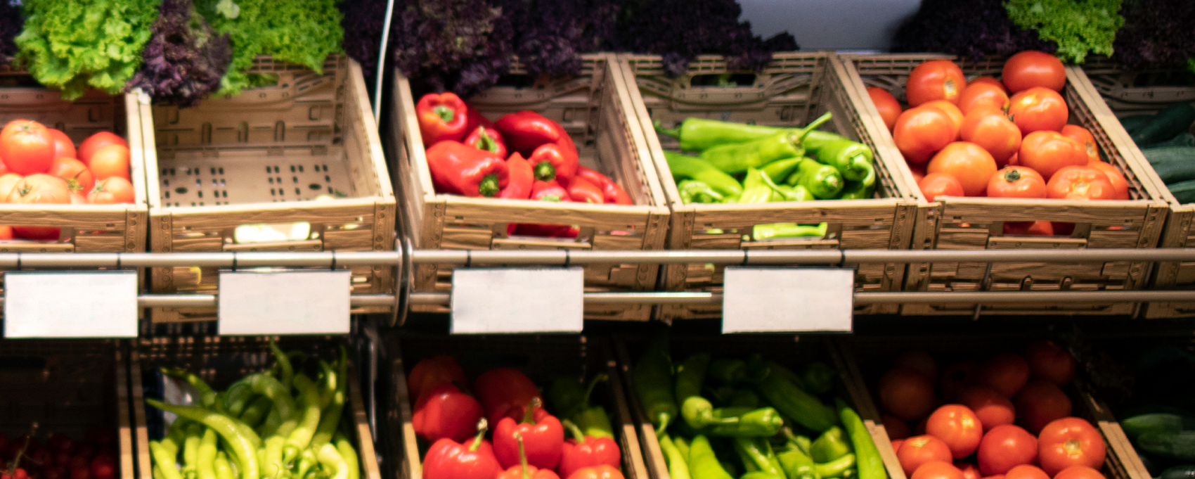 Food Security Background